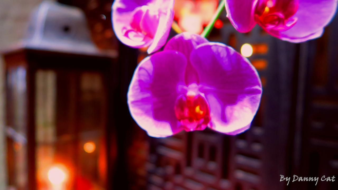North Sea Hotel Taizhong Zewnętrze zdjęcie