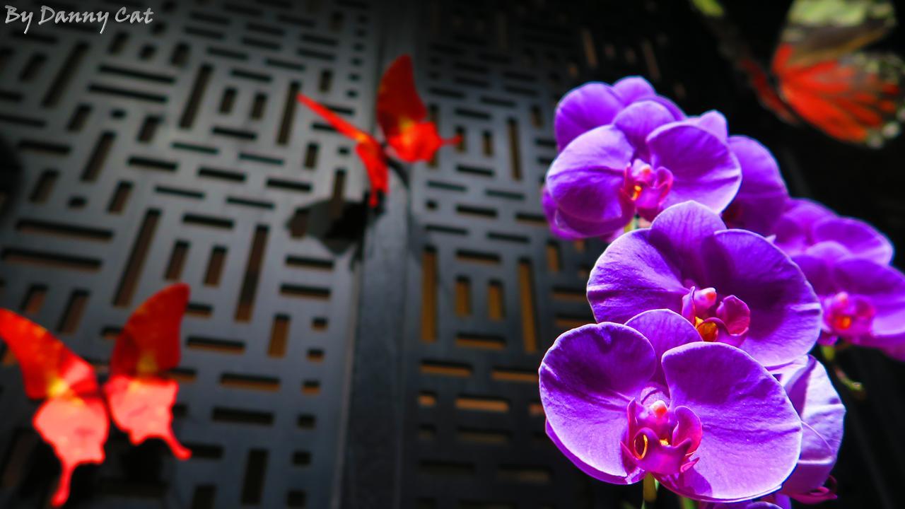 North Sea Hotel Taizhong Zewnętrze zdjęcie